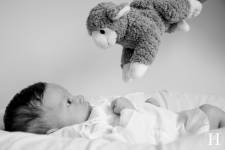 Martin D'HEROUVILLE - PHOTOGRAPHE MARTIN D'HEROUVILLE