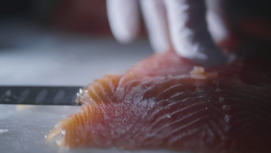 Benjamin ZERAH - BENJAMIN ZERAH